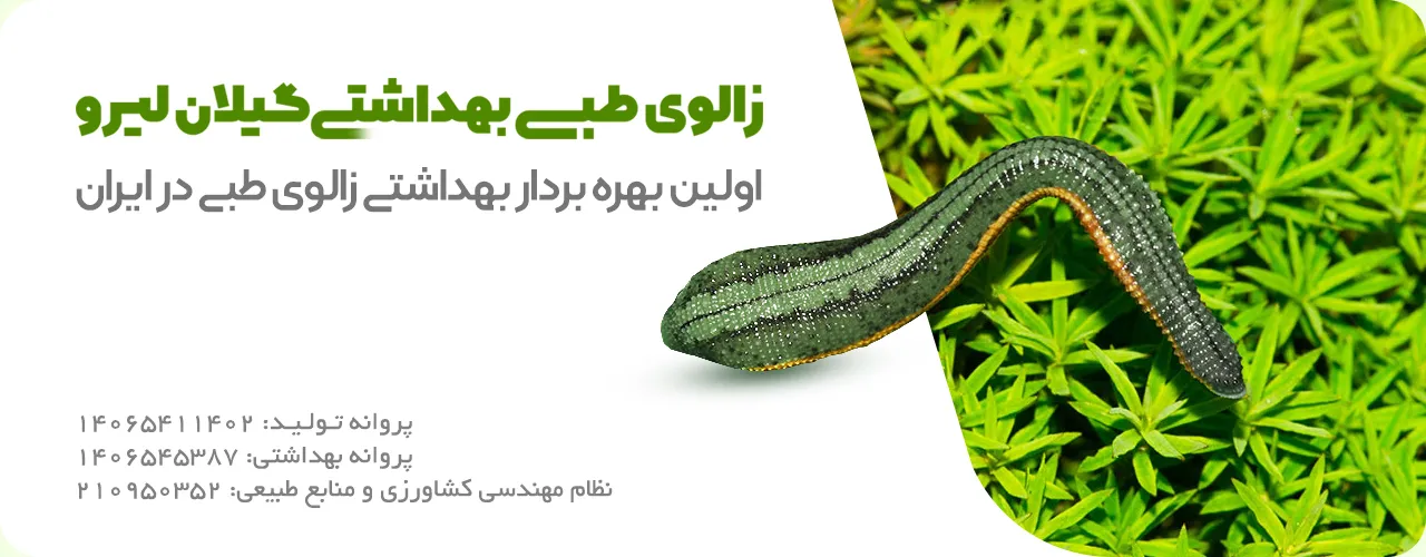 تصویر اسلایدشو